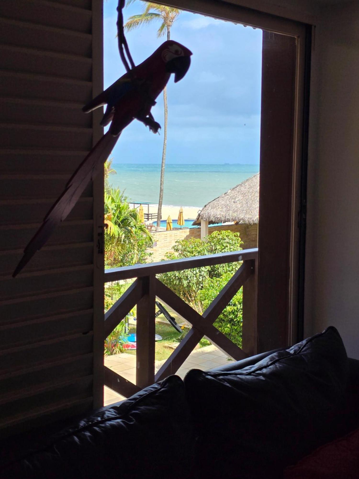 Frente Mar - Cumbuco - Eco Paradise Exterior foto